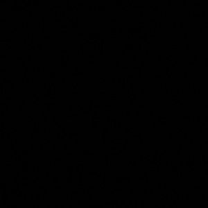 Meet your Posher, Ty